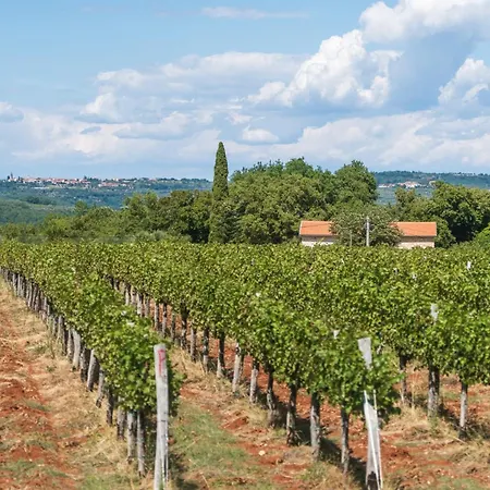 Juki By Briskva Βίλα *