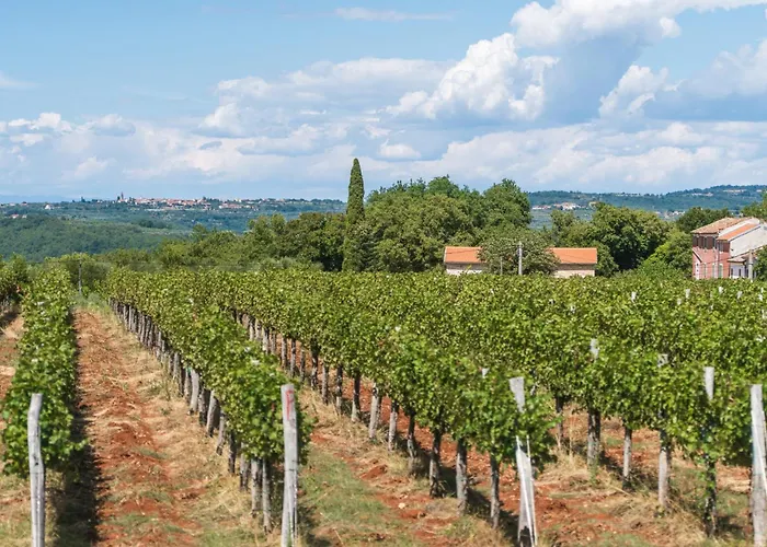 Juki By Briskva Villa *